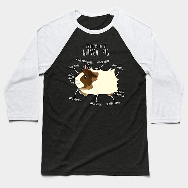 Abyssinian Guinea Pig Anatomy Baseball T-Shirt by Psitta